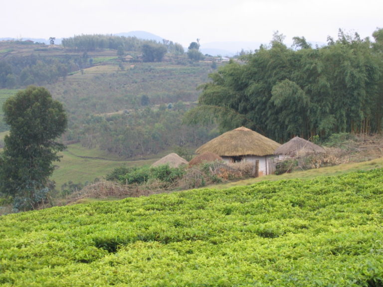 40 ANNI DI CISV IN BURUNDI: RICORDI E STORIE DI VITA (1973-2013)