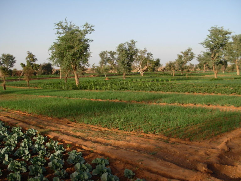 Scene di razzismo in Burkina Faso