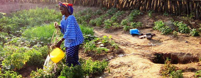 GUINEA: La seconda volta non si scorda mai