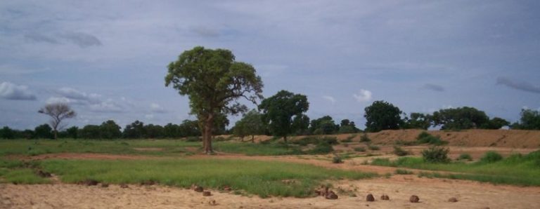 BURKINA FASO, LA RIVOLTA DEL LEGNO
