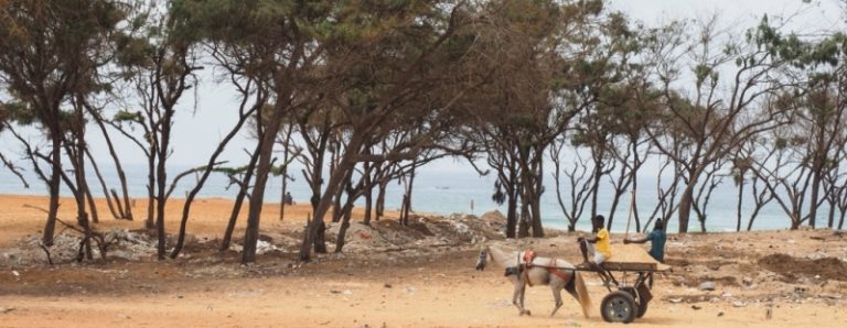 Tra Oceano e deserto: come affrontare il cambiamento climatico in Senegal
