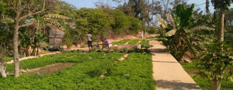 I giovani del Senegal per l’Ambiente