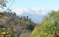 XIV Giornata del Creato