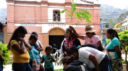 Rubrica Indigena/2: coltivare la terra per far crescere diritti umani
