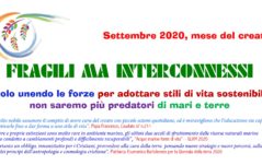 Fragili ma Interconnessi