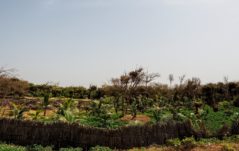 Il nuovo Atlante delle risorse naturali di Dakar