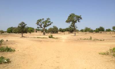Mancanza di cibo e abbandono dei campi. Quali sfide per garantire la sicurezza alimentare in Mali?
