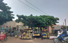 In Senegal con Paolo: Louga, la città che ha fatto la storia di CISV in Senegal