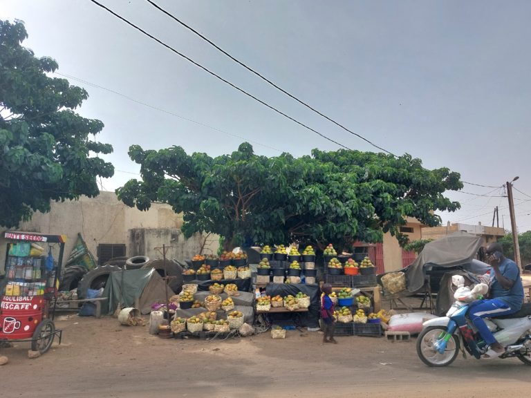 In Senegal con Paolo: Louga, la città che ha fatto la storia di CISV in Senegal