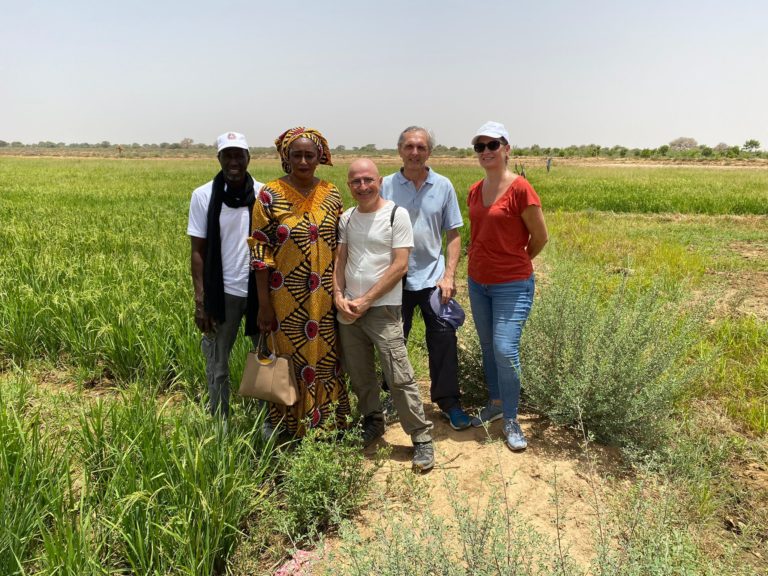 In Senegal con Paolo: Ndioum, artefici di un futuro più prospero lungo il fiume Senegal 