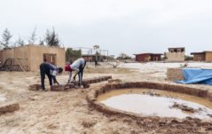 Verdi, sociali e circolari: Le imprese di PROVIVES in Senegal