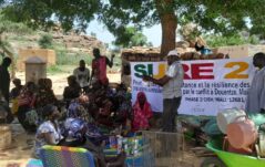 Verde speranza in Mali