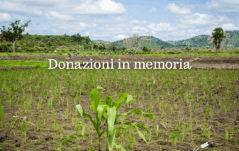 DONAZIONI IN MEMORIA