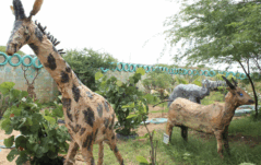 Chi si rifiuta di smettere di sognare in Senegal