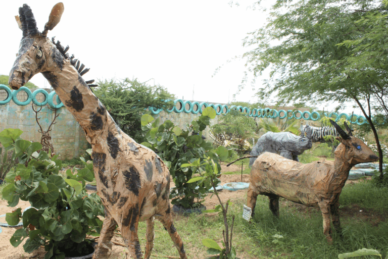 Chi si rifiuta di smettere di sognare in Senegal