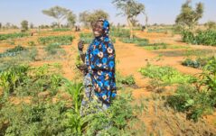 Un giro in Niger con CISV