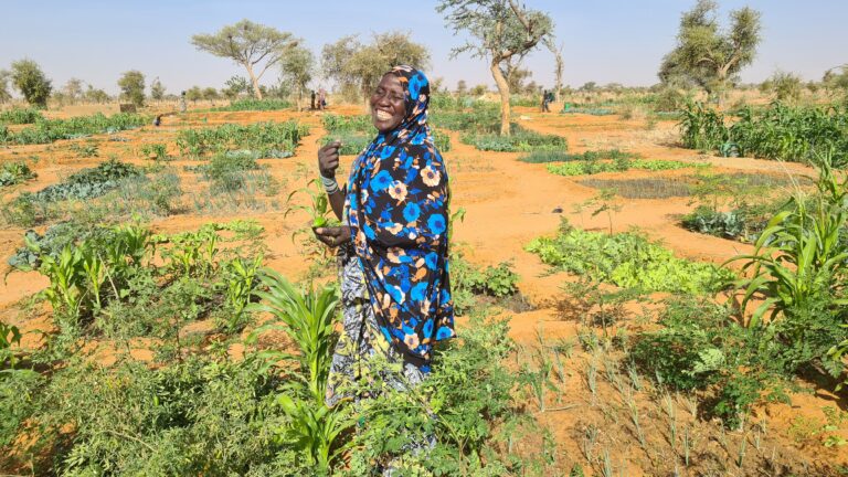 Un giro in Niger con CISV