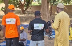 Il futuro del Niger è giovane e verde