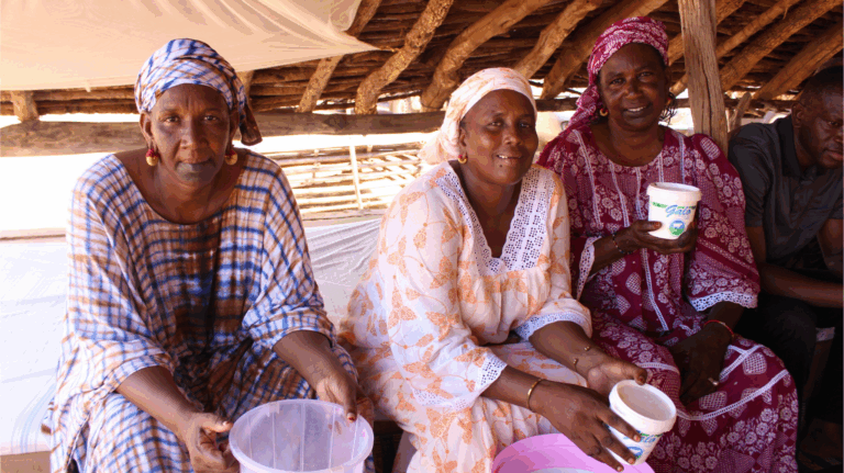 L’allevamento nel Ferlo – Il Senegal della pastorizia