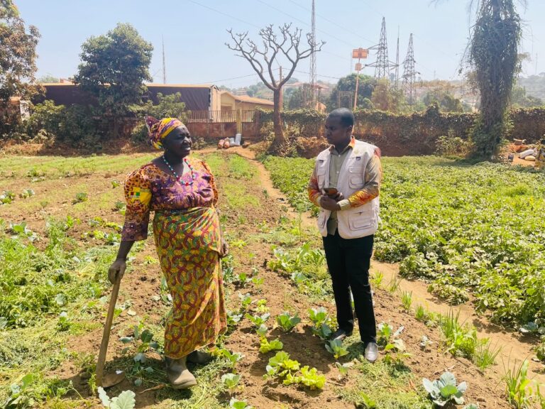 Dove il sapere mette radici: nuovi passi verso l’agroecologia in Guinea